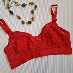 Full Coverage Bra Wide Straps and Wide Belt Net Summer Bra