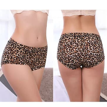 Leopard High Waist Underwear/ Panties