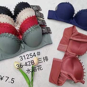 Border Lace Pushup Bra