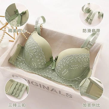 Border Lace Wired Pushup Bra