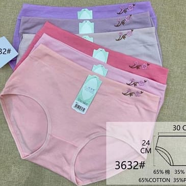 Cotton Basic Briefs Panty Underwear