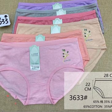 Daily Wear Basic Briefs