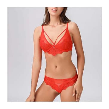 Flawless Mesh Bra Panty Set