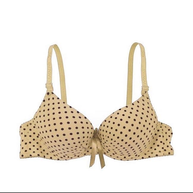 271831506_237227815229024_2061503831160542408_n.jpg 271831506_237227815229024_2061503831160542408_n.jpg