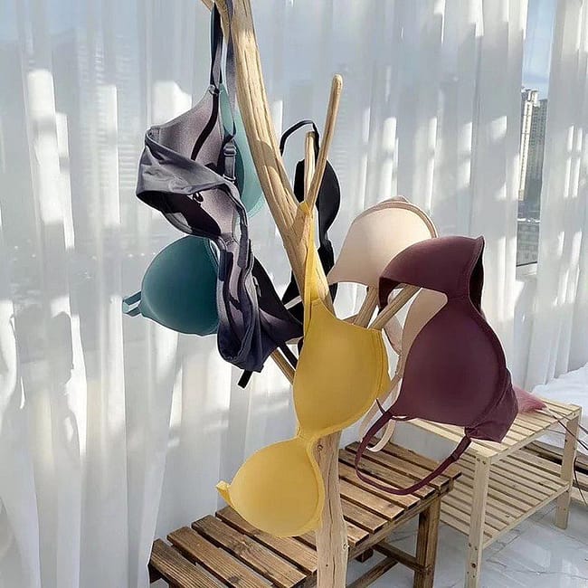 271942588_238844341734038_2580781046535998057_n.jpg 271942588_238844341734038_2580781046535998057_n.jpg