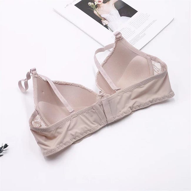 287523189_336400791978392_738692838001387727_n.jpg 287523189_336400791978392_738692838001387727_n.jpg