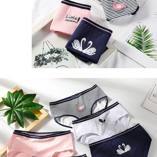 287861416_338530598432078_5234627453005238052_n-1.jpg 287861416_338530598432078_5234627453005238052_n-1.jpg