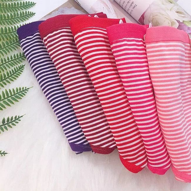 287922231_338528555098949_4125599983973172438_n.jpg 287922231_338528555098949_4125599983973172438_n.jpg