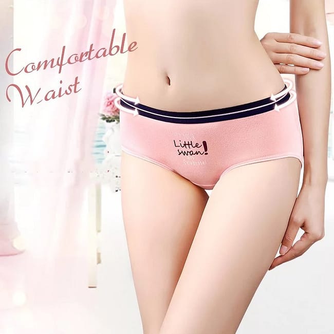 287991808_338530611765410_4234951422027789447_n.jpg 287991808_338530611765410_4234951422027789447_n.jpg