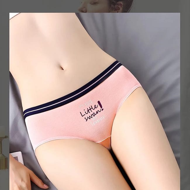 288157599_338530601765411_474573032403912512_n.jpg 288157599_338530601765411_474573032403912512_n.jpg