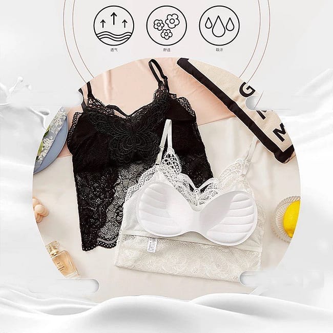 309370613_399678852342232_5371000929835376338_n.jpg 309370613_399678852342232_5371000929835376338_n.jpg