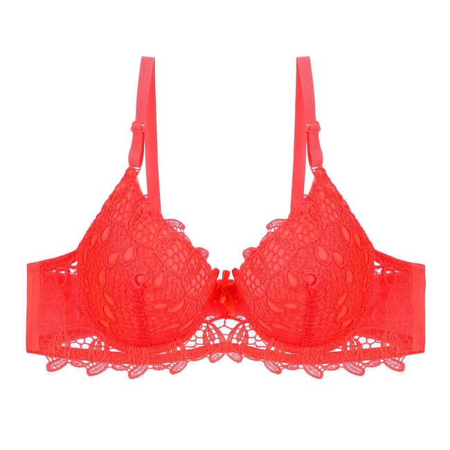 IMG-1020.jpg IMG-1020.jpg