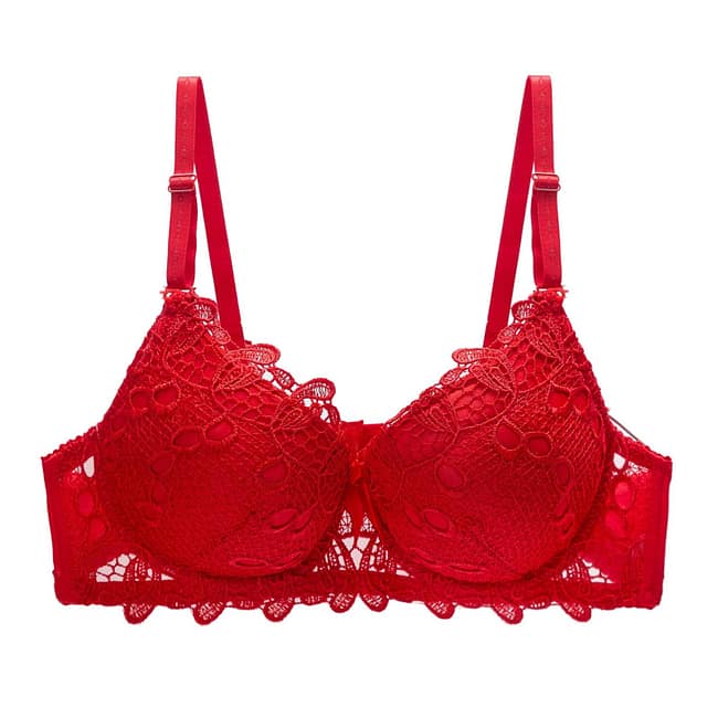 IMG-1022.jpg IMG-1022.jpg