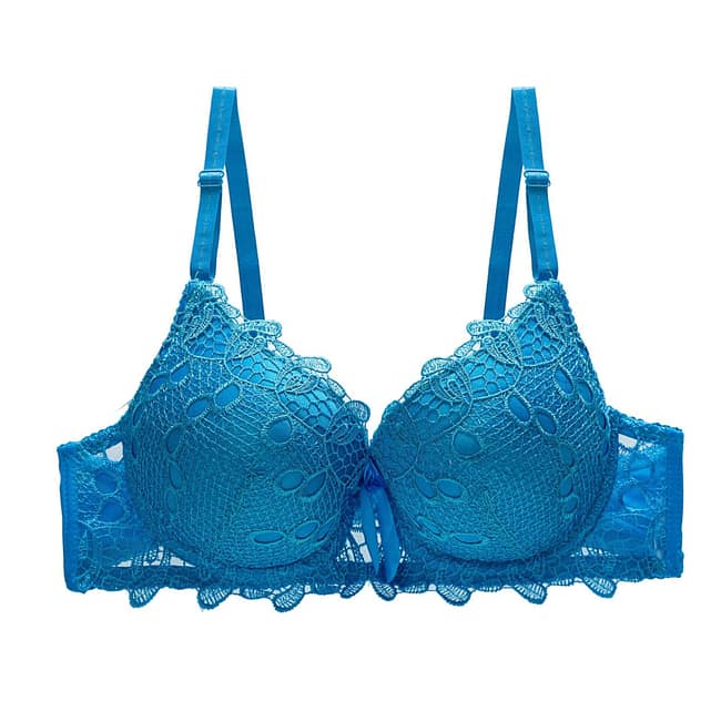 IMG-1023.jpg IMG-1023.jpg