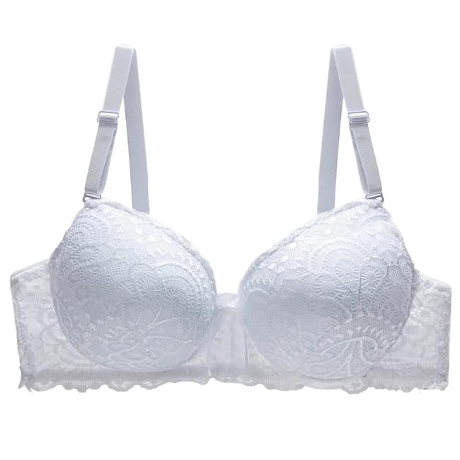 IMG-1029.jpg IMG-1029.jpg