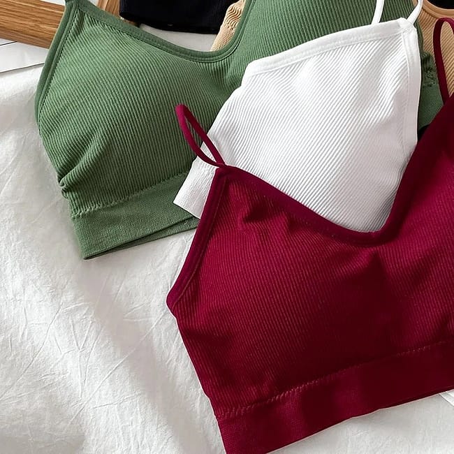 IMG-1505.jpg IMG-1505.jpg