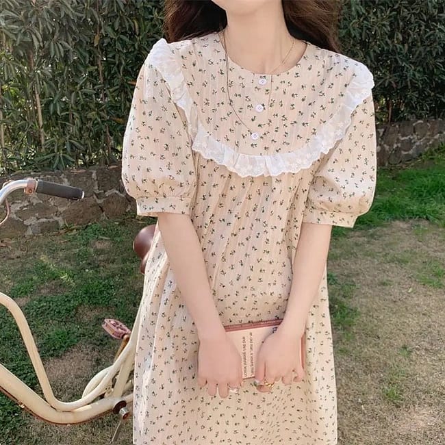 IMG-7378.jpg IMG-7378.jpg