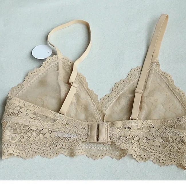 IMG-8772.jpg IMG-8772.jpg