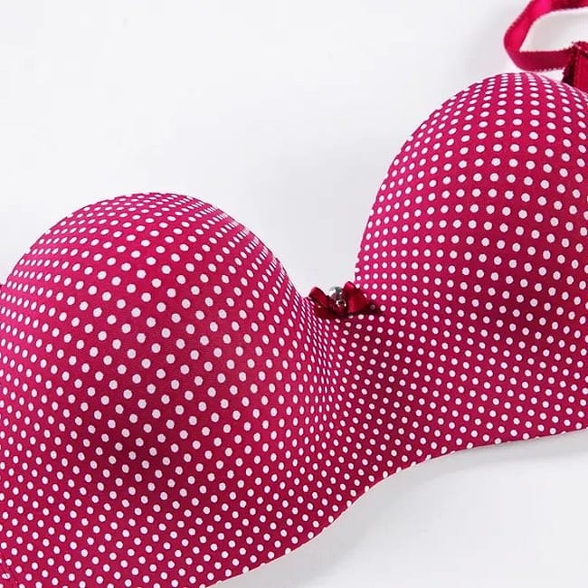 IMG-9074.jpg IMG-9074.jpg