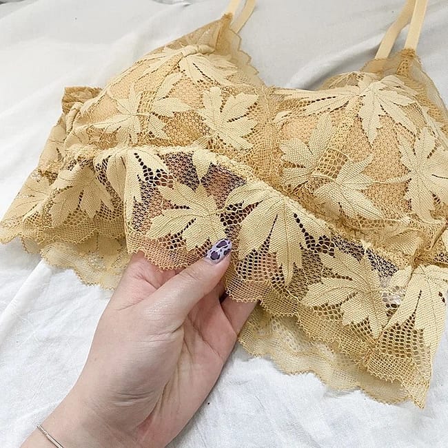 IMG_4583.jpg IMG_4583.jpg